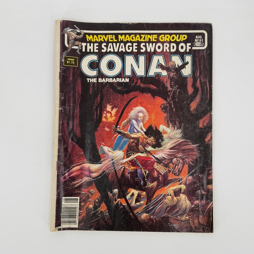 Marvel Vintage Savage Sword of Conan Comic Magazine #91 1983 Kaluta Cover Art